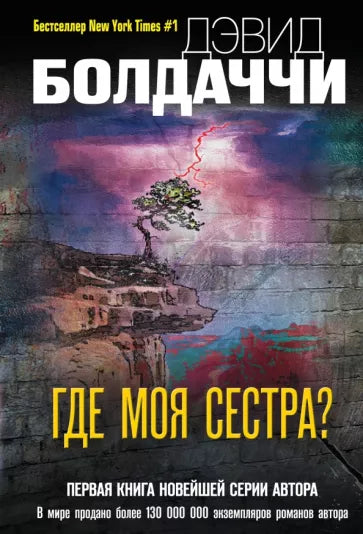 Болдаччи Д. Где моя сестра?