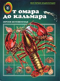 От омара до кальмара. Морские беспозвоночные